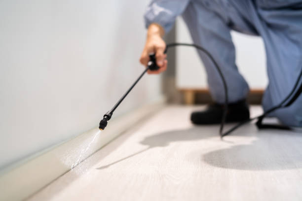 Licensed Termite Control service in Staten Island, NY - Nex Pest Control