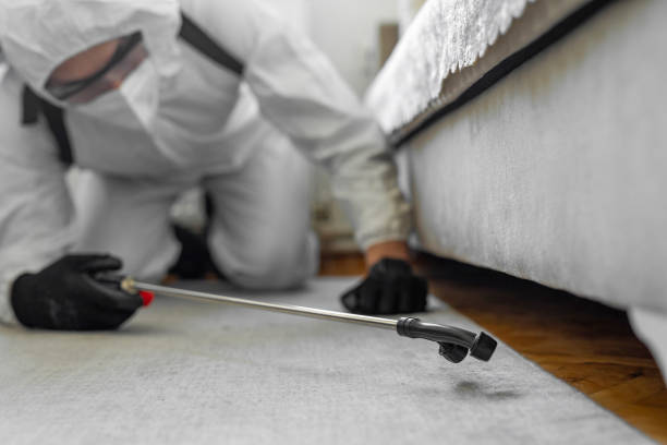 Professional Termite Control technician working in Staten Island, NY