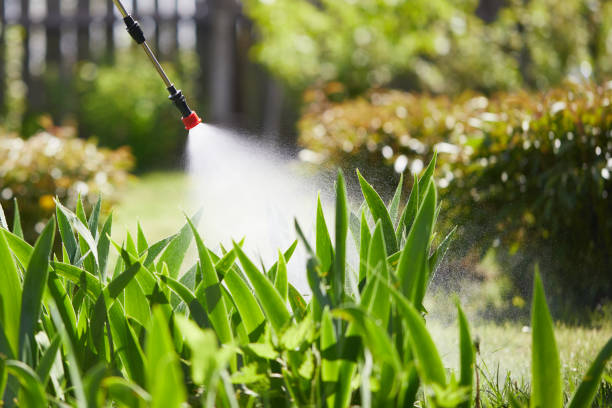 24/7 Emergency Termite Control experts in Staten Island, NY