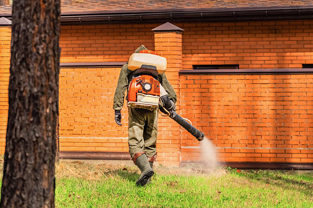 Trusted Mosquito Control service in Staten Island, NY - Nex Pest Control
